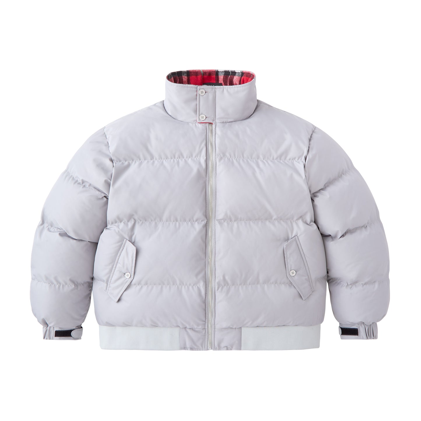 Grey Puffer